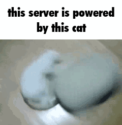this server is powered by this cat